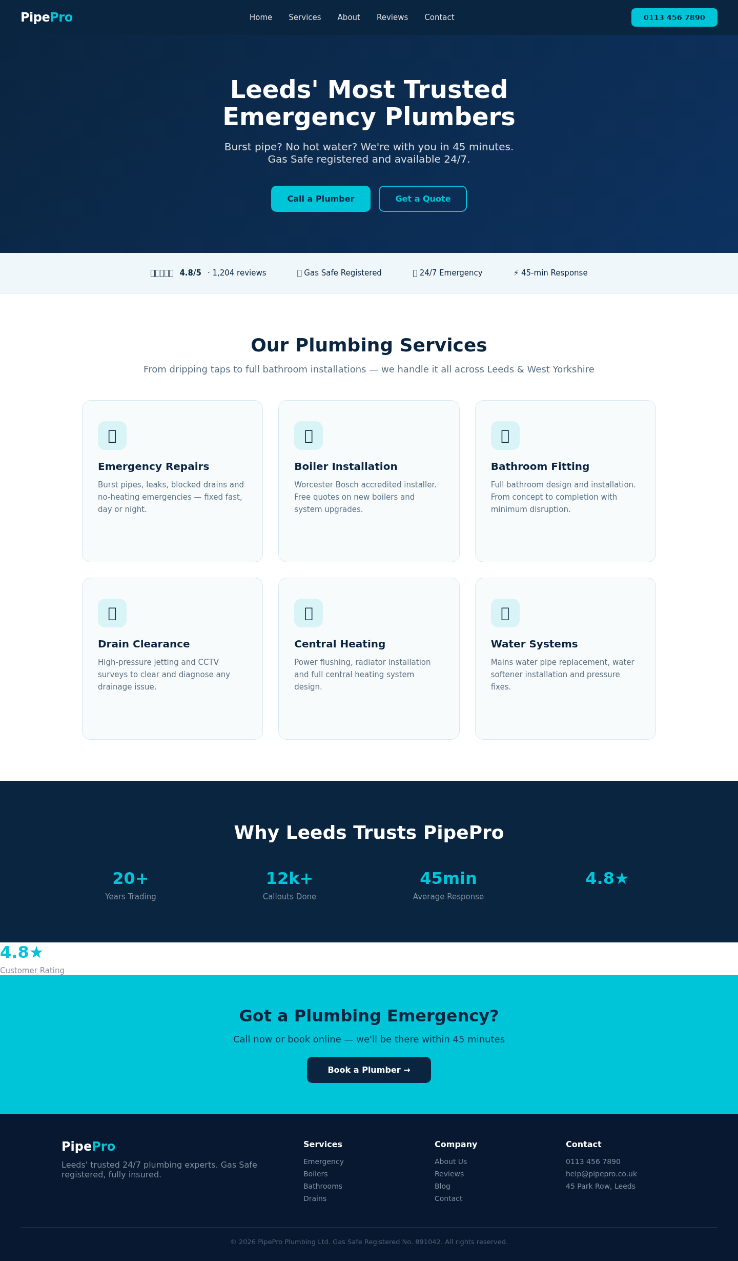 Concept Project: Plumber Website homepage desktop