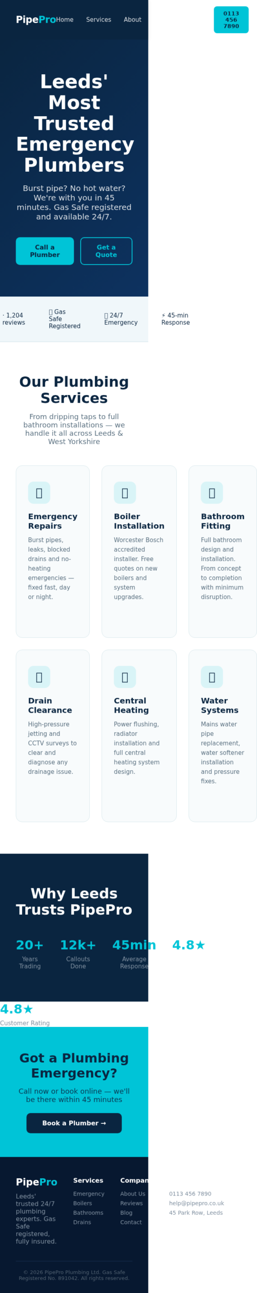 Concept Project: Plumber Website homepage mobile